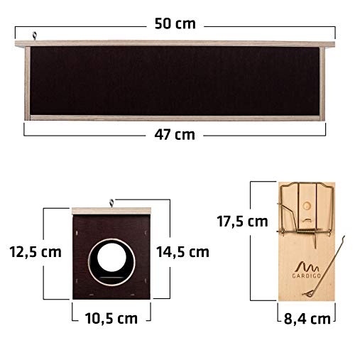 Gardigo Estación de Cebo de Madera, Carnada para Ratas Roedores, Caja Cebadera con 2 Trampas para Ratas, 50 x 10,5 x 14,5 cm, Made in Germany