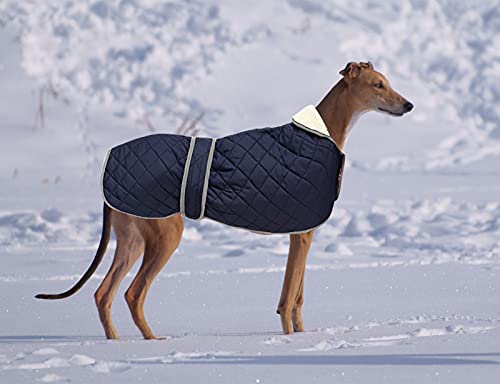 Geyecete - Abrigo cálido térmico Acolchado para Perro Galgo, con Bandas Ajustables, para Invierno Clima frío,Ropa con Agujero del arnés, para medianos y Grandes Perros-Azul-L