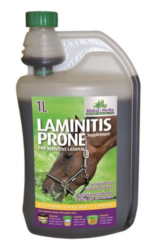 Global Herbs - Horse Laminitis Prone Supplement x 1 Lt by Global Herbs