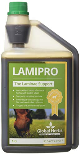 Global Herbs - Laminitis Prone Suplemento Líquido - 1kg