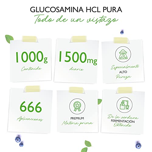 Glucosamina HCL Pura - 1000 g (1 kg) de polvo puro sin aditivos - De fermentación vegetal - Vegano - Altamente dosificado