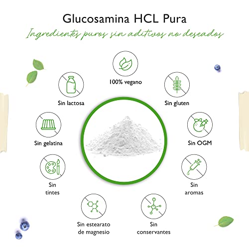 Glucosamina HCL Pura - 1000 g (1 kg) de polvo puro sin aditivos - De fermentación vegetal - Vegano - Altamente dosificado