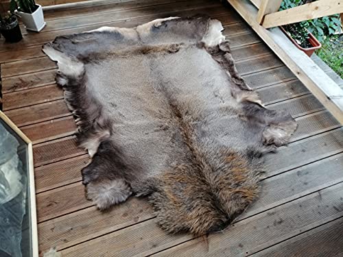 Gran ciervo rojo piel piel piel taxidermia ornamento alfombra alfombra piso decoración colgante de pared diseño gótico para el hogar
