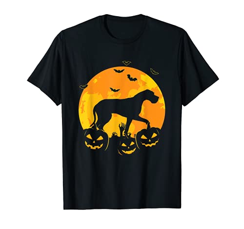 Halloween Gran Dane Jack O Lantern Perro Cachorro Calabaza Divertido Camiseta