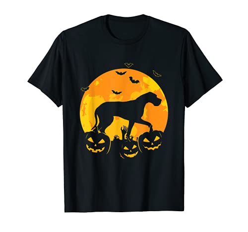 Halloween Gran Dane Jack O Lantern Perro Cachorro Calabaza Regalos Camiseta