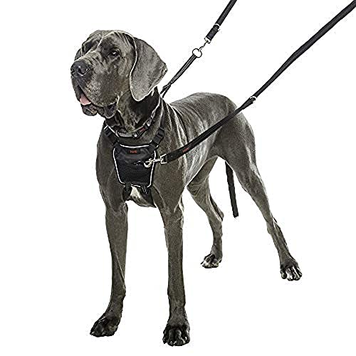 Halti Arnés de Perro sin Tirar, Puedes Entrenar a tu Perro para Dejar de Tirar de Caminar, Disponible en tamaño Grande, Negro (15320A)