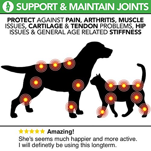 Happy Joint 100% Natural Cuidado de las Articulaciones Para Perros y Gatos - 160 Raciones con Cúrcuma y Mejillón de Labios Verdes - Mejor que los Suplementos Para las Articulaciones con Glucosamina