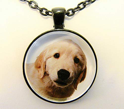 Heng yuan tian cheng Collar de cachorro de Golden Retriever, Labrador Retriever, collar de cachorro para perros y amantes de los animales
