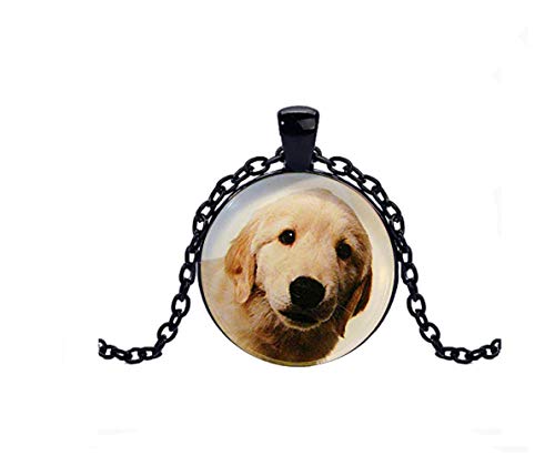 Heng yuan tian cheng Collar de cachorro de Golden Retriever, Labrador Retriever, collar de cachorro para perros y amantes de los animales