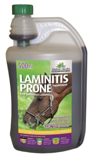 Hierbas Globales - Caballo Suplemento Propensos Laminitis x 500 Ml