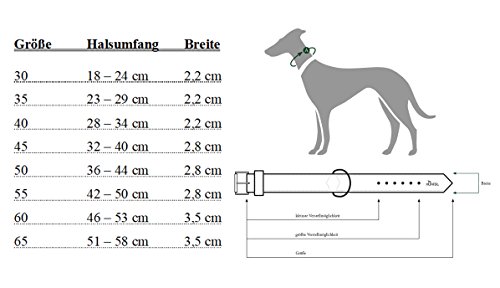 Hunter - Collar Softie para perros 28-38cm color rojo