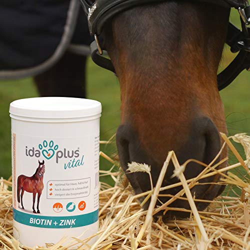 Ida Plus Biotina + zinc (750 g) – Alimento mineral para caballos – Piel hermosa, pelo brillante, pezuñas fuertes – Cera de pezuñas