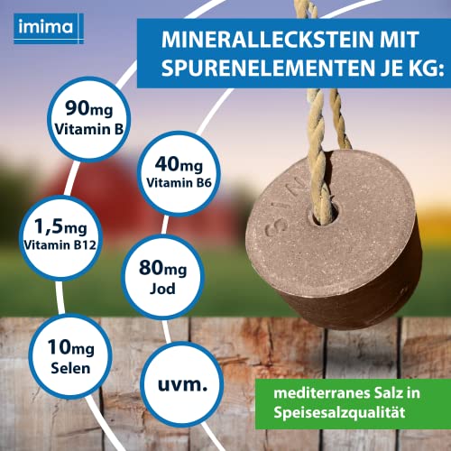 imima Probiotic - Juego de 4 piedras minerales para lamer (3 kg)