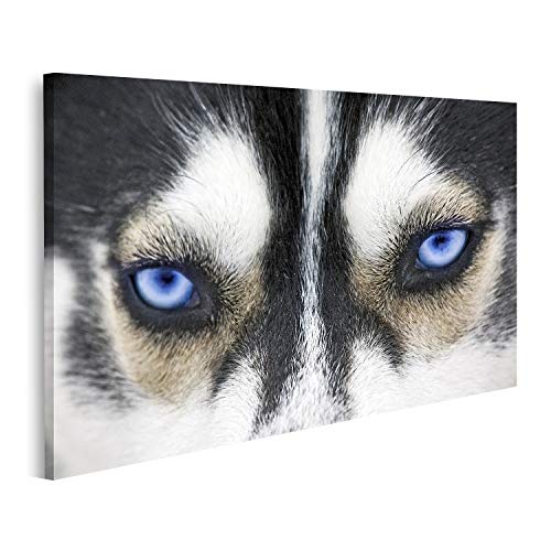 islandburner Cuadro en Lienzo Un Primer Plano de los Ojos Azules de un Perro Husky Cuadros Modernos Decoracion Impresión Salon