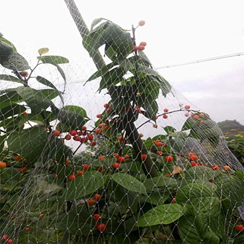 JAOMON Red para Plantas de 10 m x 5 m, Red Anti-pájaros para Jardín, Protección de Plantas contra Pájaros Rongentes, Malla para Estanques y Redes para Plantas Tapa de Plástico, Etiqueta