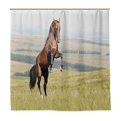 JOOCAR Cortina de ducha de diseño Akhal-Teke con caballos, caballos, criando el campo, mamífero noble, al aire libre, tela impermeable para decoración de baño con ganchos