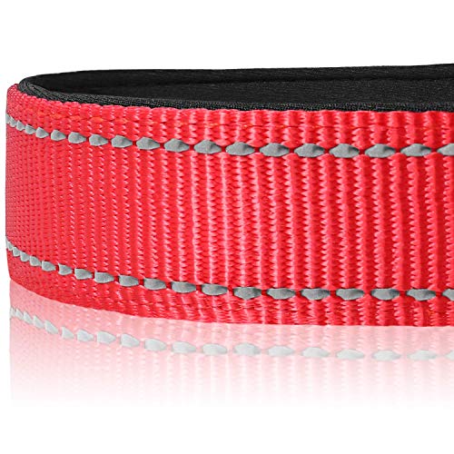 Joytale Collar Perro Reflectante,Nylon Collar Acolchado con Neopreno,Ajustable para Perros Mediano,35-50cm,Rojo