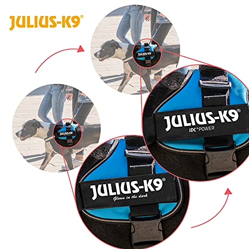 JULIUS-K9 - Arnés para perros, color Negro, talla 2XS / Baby 2
