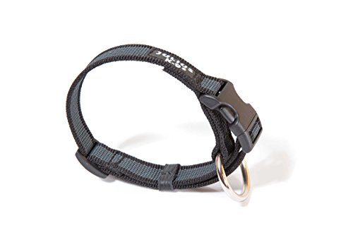 Julius-K9 Collar Color & Gray, 20 mm 27/42 cm, Negro/Gris