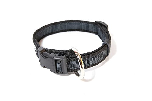 Julius-K9 Collar Color & Gray, 20 mm 27/42 cm, Negro/Gris