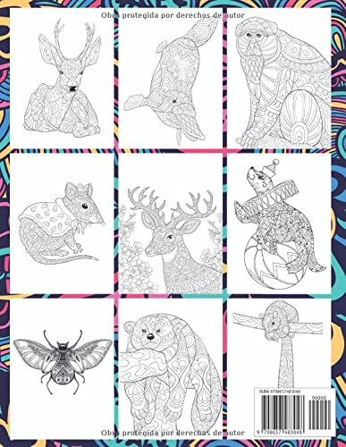 Kawaii Animales - Libro de colorear para adultos - Armadillo, Glotón, Mapache, Guepardo y más