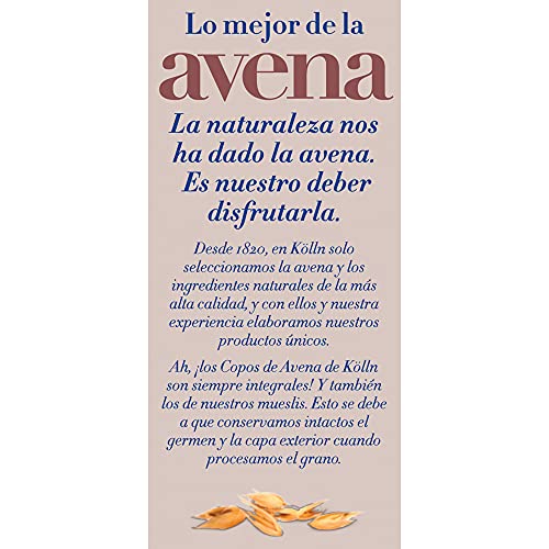 Kölln - Muesli de Avena con Chocolate y Avellanas, Cereales Integrales con Chocolate, Copos Finos, Alto Contenido de Fibra - 500 g