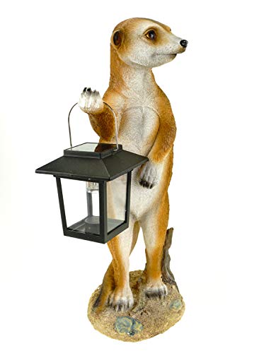 Kremers Schatzkiste Figura de suricato Eddy de pie con farol solar, figura de jardín de 38 cm