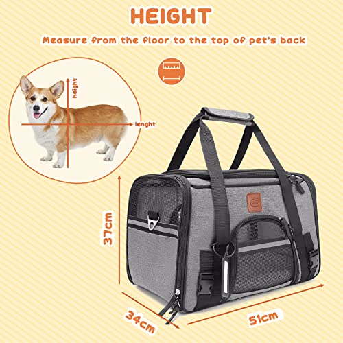 KYG Transportadora para Gato Perro Pequeño Portador de Viaje para Mascotas Bolsa Plegable de Transporte en Tren, Auto, Avión
