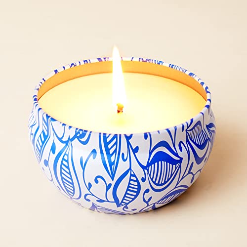 La Jolíe Muse Velas Citronela - Juego de Velas de citronela, Velas aromaticas en Interiores y Exteriores, Lata, 35-45 Horas*2