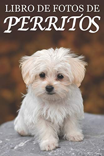 Libro de Fotos de Perritos: Ayuda para Personas Mayores con Demencia o Alzheimer (Libros que Facilitan la Lectura a Personas con Demencia)