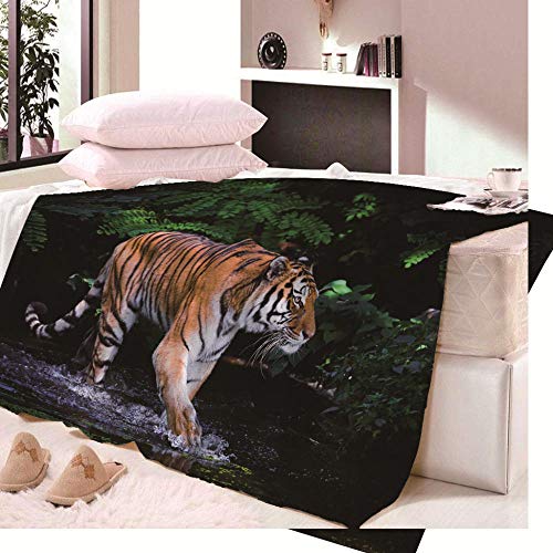 LIGAHUI Manta Polar con Flecos de Pompones Tigre Animal Plaid Manta de Franela para el sofá Cama Apta para Todas Las Estaciones 130x150 cm