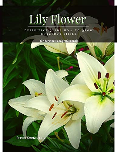 Lily Flower : Definitive Guide How tо Grow Gorgeous Lilies (English Edition)