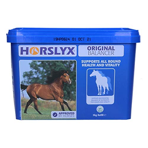 Masilla para fugas «Horslyx», original, 5 kg