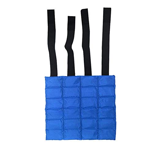 MENHUA Envoltura de Hielo para Patas de Caballo, Paquete frío para protección de piernas ecuestres Reutilizable con 24 Paquetes pequeños Bolsa de Hielo (Azul)