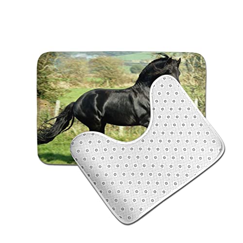 MGCEDLTD Juego de 2 alfombras de baño con galope de caballo negro, antideslizante, absorbente y alfombra de inodoro en forma de U para baño