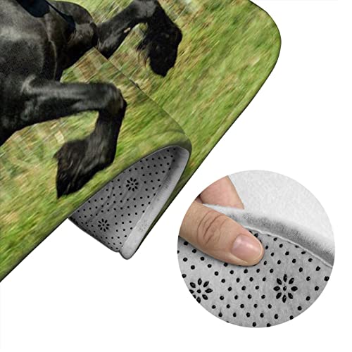 MGCEDLTD Juego de 2 alfombras de baño con galope de caballo negro, antideslizante, absorbente y alfombra de inodoro en forma de U para baño