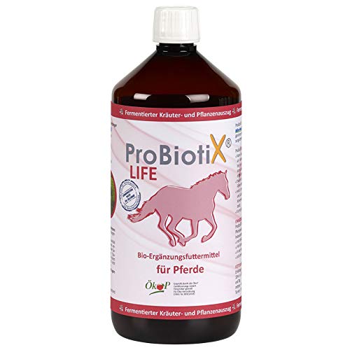 MikroVeda ProbiotiX Life para caballos, fermento enzimático como complemento alimenticio, microorganismos eficaces, ayudante digestivo, tecnología, microbiomo, cólicos (1 l)
