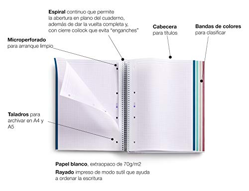 Miquelrius 47717 - Cuaderno A5, Tapa Dura, 120 Hojas Cuadrícula Interior, 4 Colores Topos