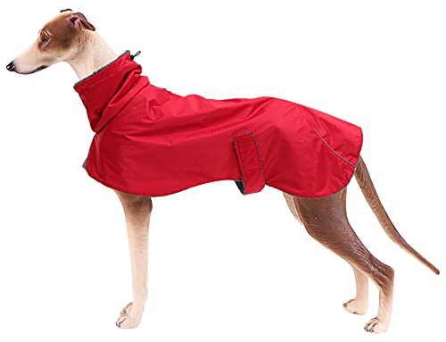 MOREZI Chaqueta de Invierno Greyhound, Capa Exterior Impermeable, Forro Polar, con Orificios para el cinturón de Seguridad y Bordes Reflectantes, mejoran la Visibilidad por la Noche-Rojo-XS