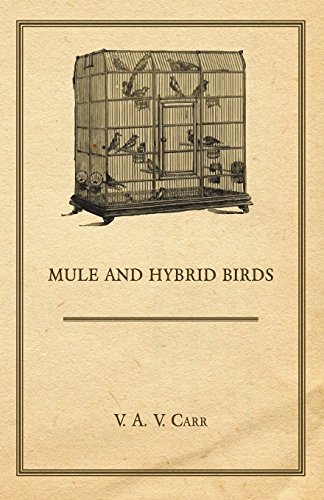 Mule And Hybrid Birds (English Edition)
