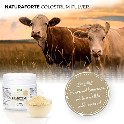 NaturaForte Calostro en Polvo 250g - Calostro natural de vaca en polvo, calostro en polvo, primera leche desgrasada suavemente, leche en polvo de primera calidad, inmunoglobulinas G