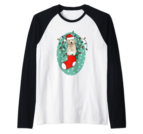 Navidad medias perro Golden retriever amor 2 Camiseta Manga Raglan