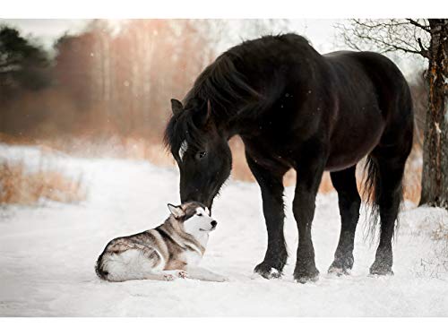 Oedim Fotomural Vinilo para Pared Perro y Caballo en la Nieve| 200 x 150 cm | Salones