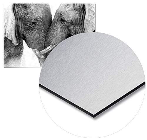 Panorama Cuadro de Aluminio Pareja Elefantes 50x35cm - Impreso en Aluminio Dibond Metalizado Cuadros de Animales - Cuadros Modernos Salón - Cuadros Dormitorio - Cuadros Zen