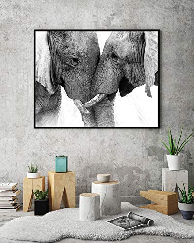 Panorama Poster Pareja Elefantes 100x70cm - Impreso en Papel 250gr - Poster de Animales - Cuadros Decorativos de Animales - Cuadros Salón Modernos - Cuadros Dormitorio