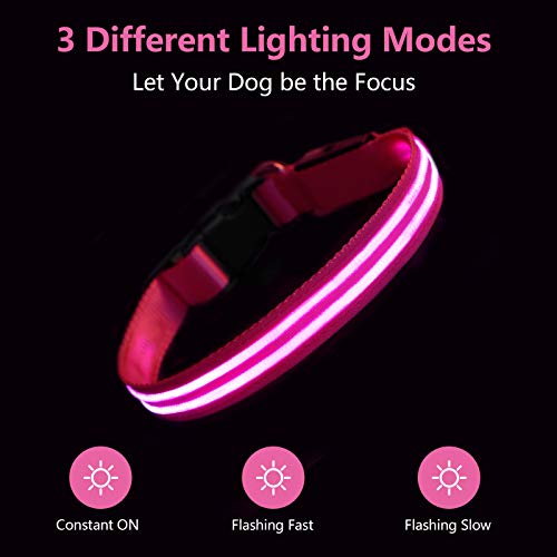 PcEoTllar Collar Luminoso para Perros Recargable LED Collar para Perros 3 Modos de Iluminación Impermeable Ajustable Súper Brillante para Perros Pequeños Medianos Grandes Caminata Nocturna - Rosa M