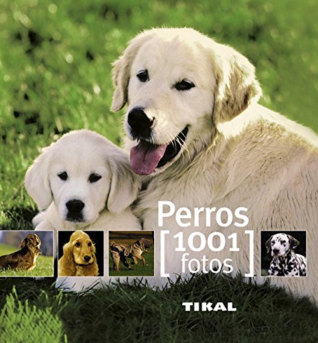 Perros (1001 Fotos)