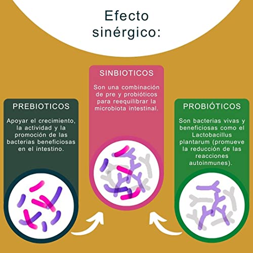 Peticare Gatos Prebiótico y Probiótico - Fortalecer Sistema Inmunológico, Restauración Tripas, Construir Flora Intestinal, Alivia Susceptibilidad Alergias y Picores - petCat Health 3501