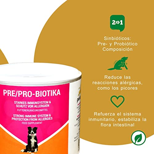 Peticare Perros Prebiótico y Probiótico - Fortalecer Sistema Inmunológico, Restauración Tripas, Construir Flora Intestinal, Alivia Susceptibilidad Alergias y Picores - petDog Health 2501