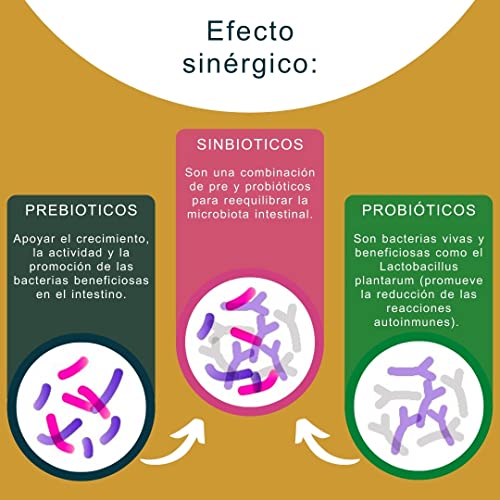 Peticare Perros Prebiótico y Probiótico - Fortalecer Sistema Inmunológico, Restauración Tripas, Construir Flora Intestinal, Alivia Susceptibilidad Alergias y Picores - petDog Health 2501